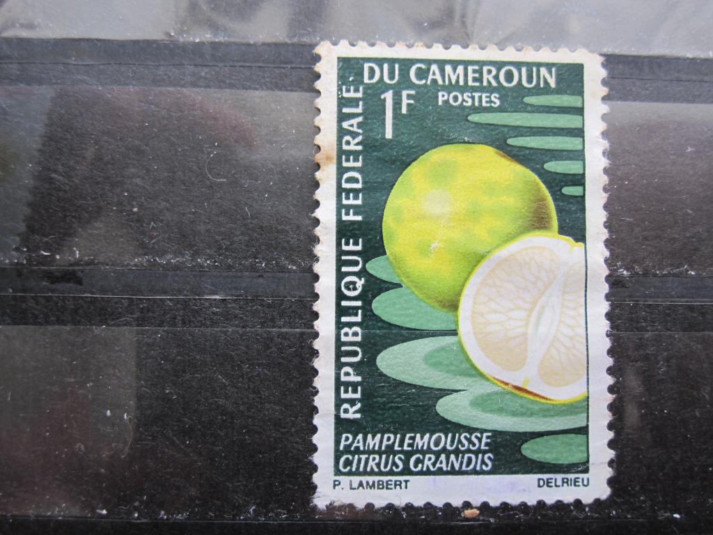 Камерун серия "Плоды земли", Грейпфрут