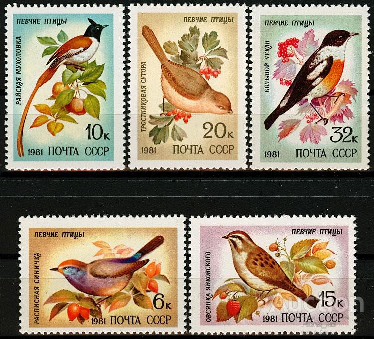 Марки.СССР.1981 г.Серия.Певчие птицы.Сол.№ 5221-25.MNH**