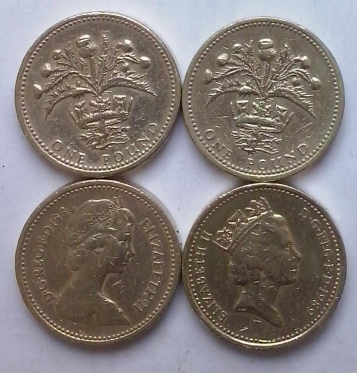 Англия. Куст репейника -  1 фунт, бронза, 1984,1989