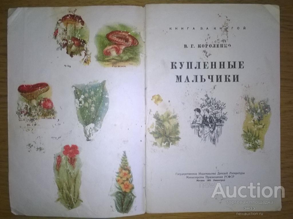 РАССКАЗ КОРОЛЕНКО КУПЛЕННЫЕ МАЛЬЧИКИ СКАЧАТЬ БЕСПЛАТНО РАССКАЗ КОРОЛЕНКО КУПЛЕННЫЕ МАЛЬЧИКИ СКАЧАТЬ БЕСПЛАТНО