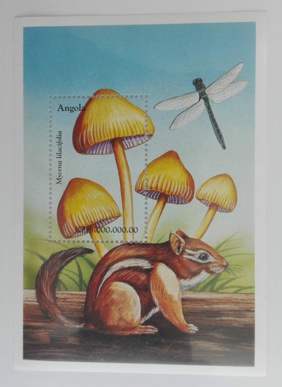 Ангола 1999 Mi.Bl.64.(Грибы)