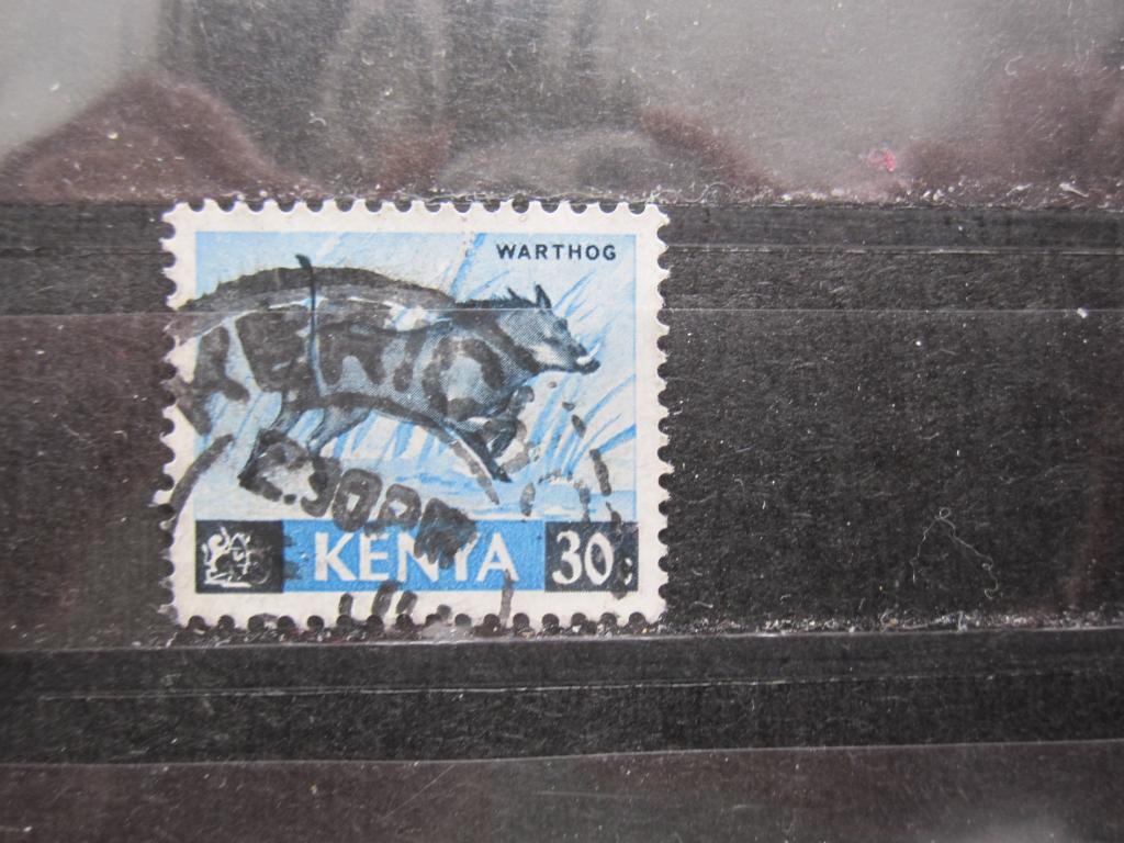 Кения серия "Животные",Пустынный бородавочник