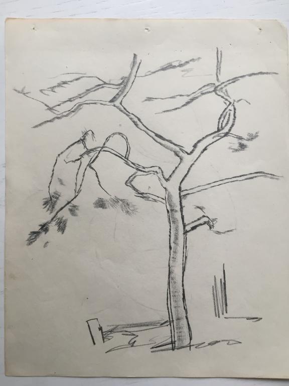 Трошин Н.С. (1897-1990)  "Дерево со скрюченными ветвями" (начало 1930х)