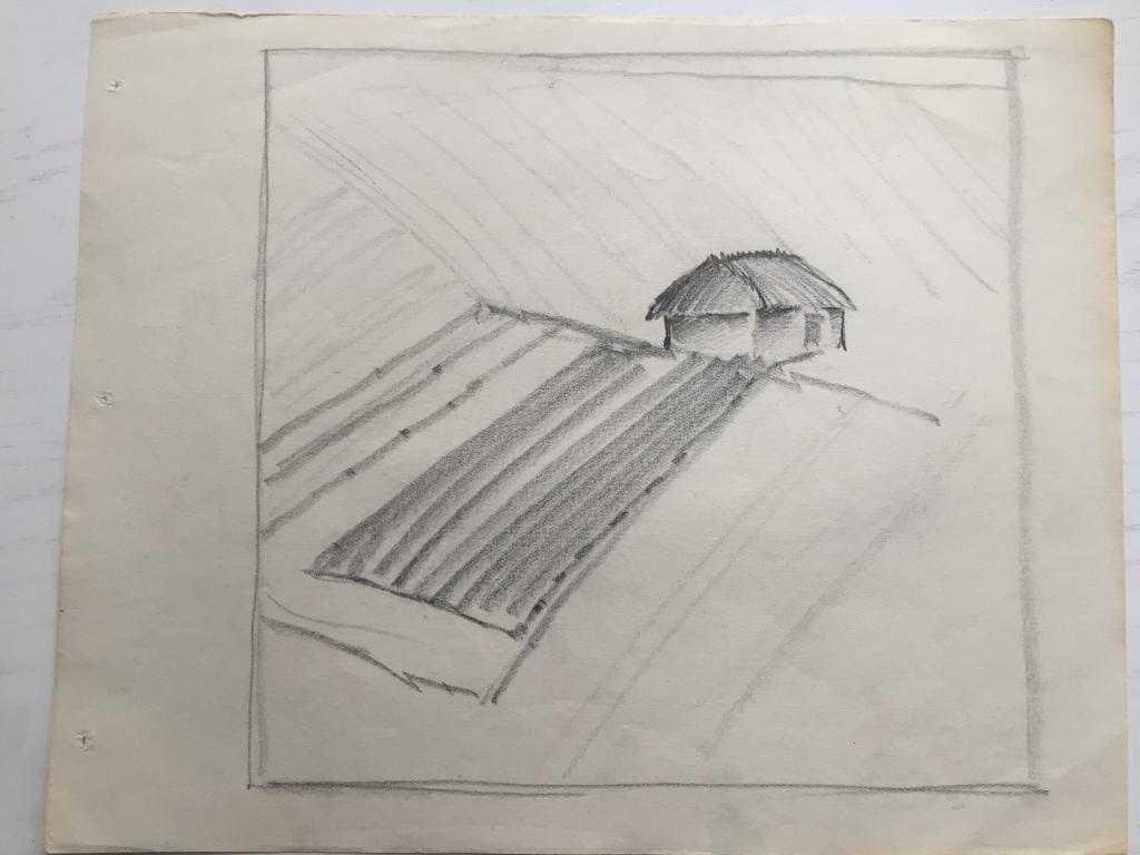 Трошин Н.С. (1897-1990)    "Домик на поле" (начало 1930х)