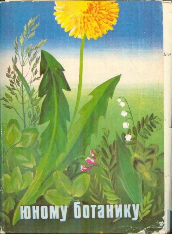 Ботаник 32 глава читать. Открытки юному ботанику. Ботаника 1980. В. Васильев набор открыток растения. Открытки с растениями.