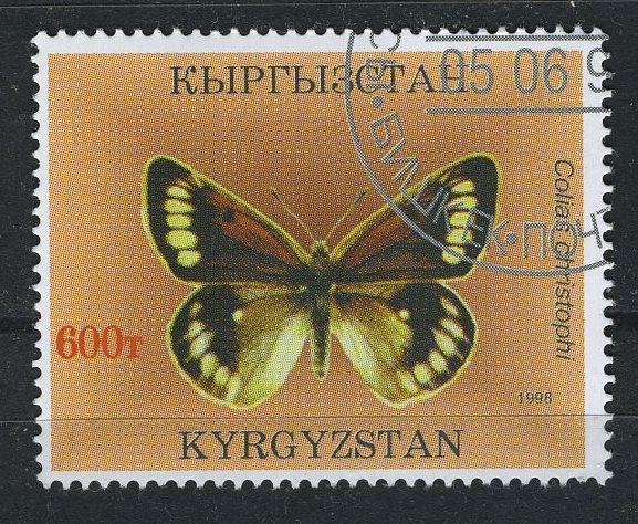 Киргизия. Бабочка