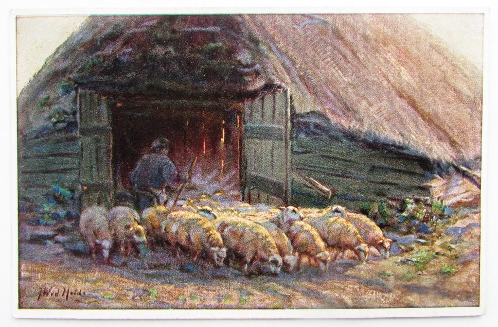 Три кошары картинки