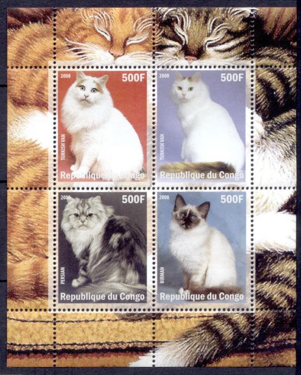 // Животные Фауна Кошки 1блок** Африка Конго 2008 У1-20
