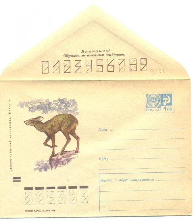 ХМК 1970 г Сихотэ-алинский заповедник. Кабарга    №7356 (Фауна)