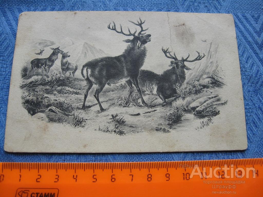 Открытка. Живопись. Олени в горах. Подписана в 1922 г.