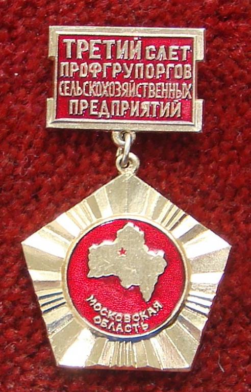 Знак 3 слёт Профгрупоргов сельскохозяйственных предприятий Московской области 1970 годы Большой