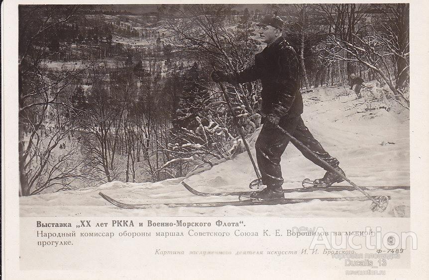Ворошилов на лыжах картина