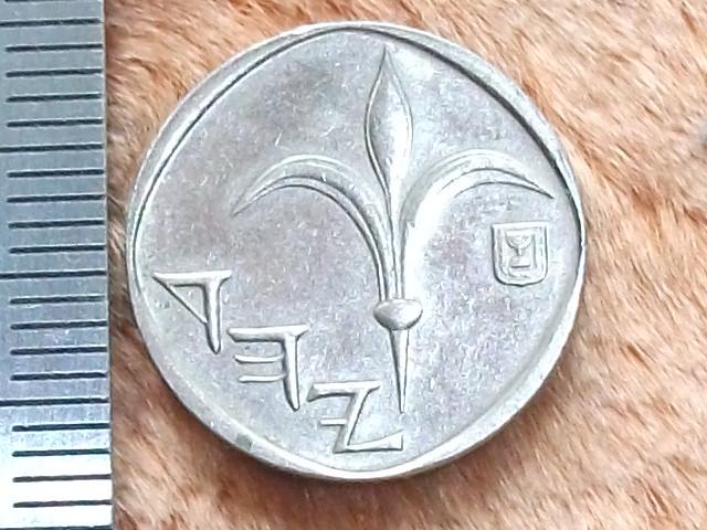 Шекель 2022. Гривны шекель. Где поменять рубли на шекели в москве. Где поменять рубли на шекели в москве. Шекель прикол.