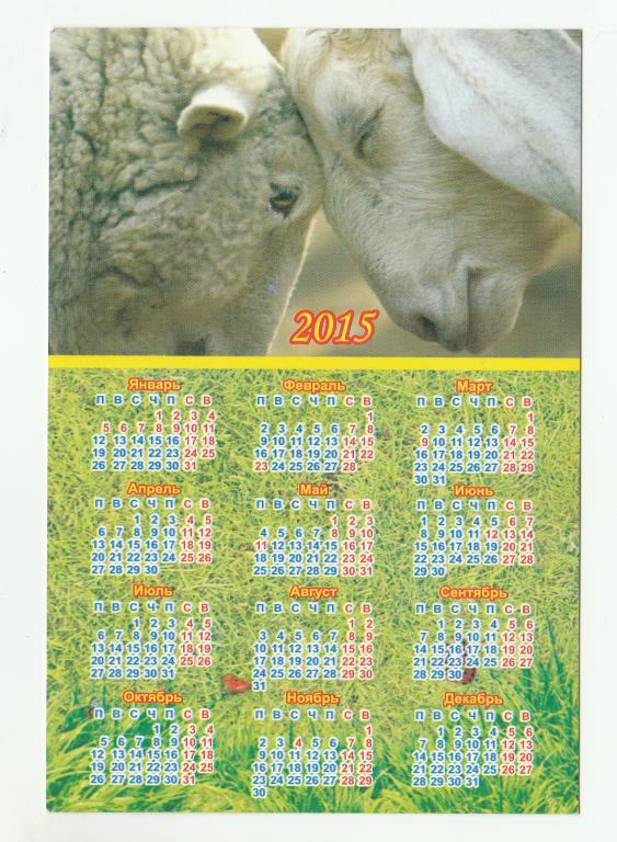 Календарь - магнит  2015 год.  Символ года.  Размер календарика  100 х 150