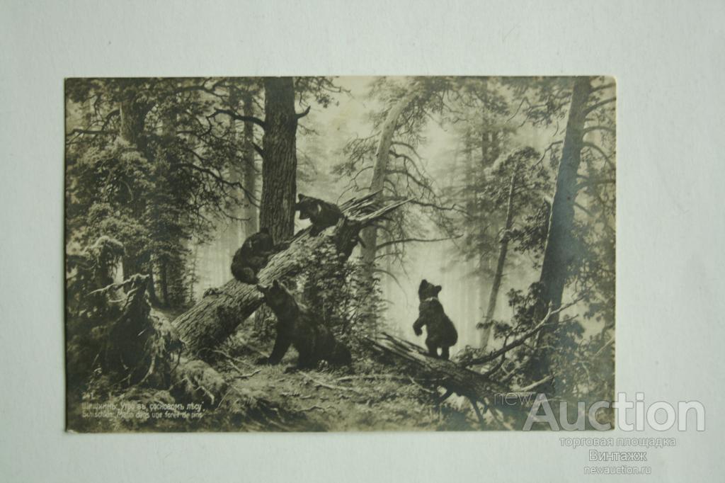 Открытка Шишкин Утро в сосновом лесу