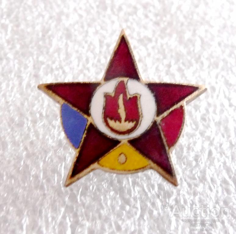 Пионеры румынии