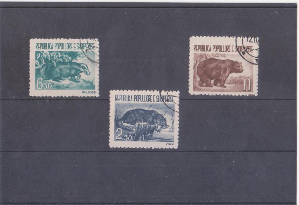 Албания 1961 г. Фауна гаш. (2)