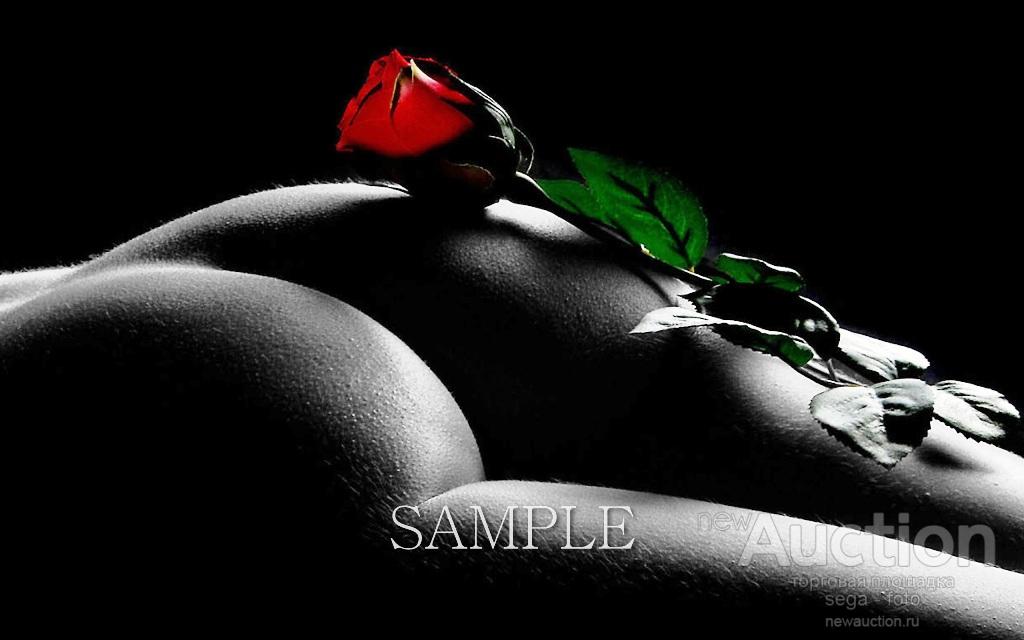 Голая девушка и красная роза в кровати (15 интимных фото)