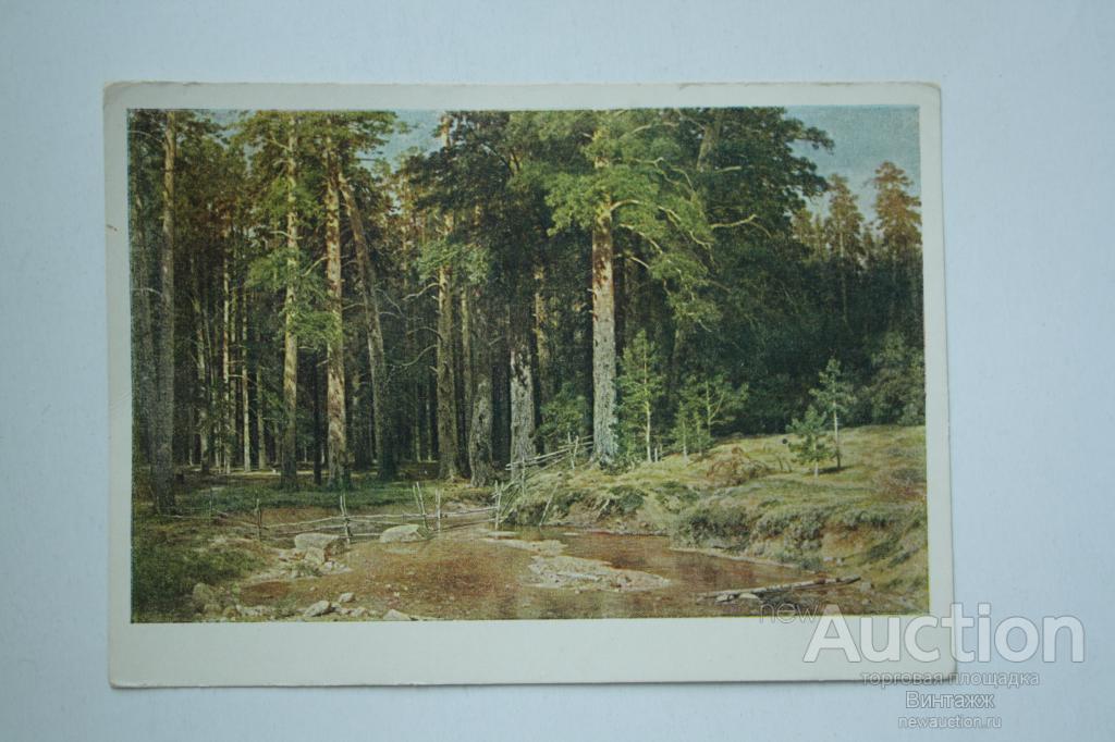 Открытки Шишкин Корабельная роща 1956