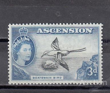 ASCENSION  Фауна  Птицы № 67   1956   Сост**