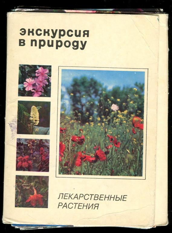 Лекарственные растения / комплект 24 открыток из 25-ти / 1976 год