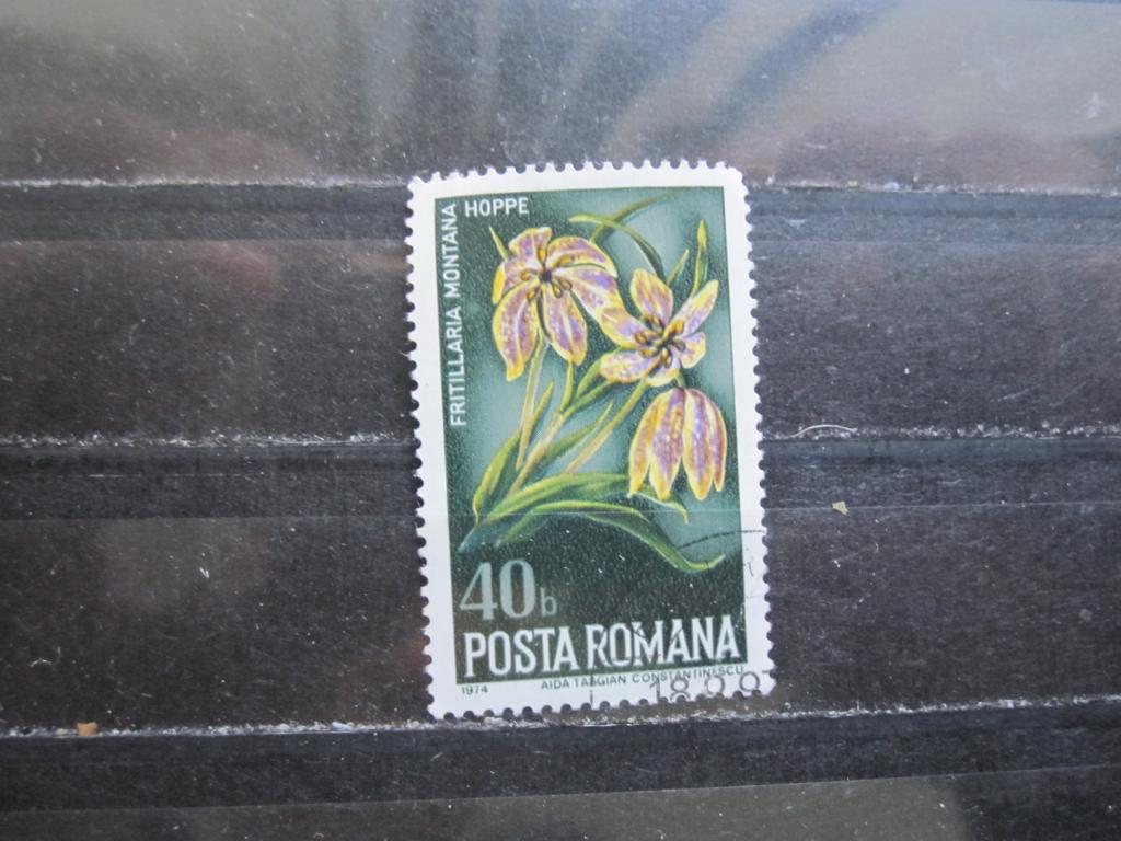 Румыния серия "Охрана природы - Дикие цветы", Рябчик горный