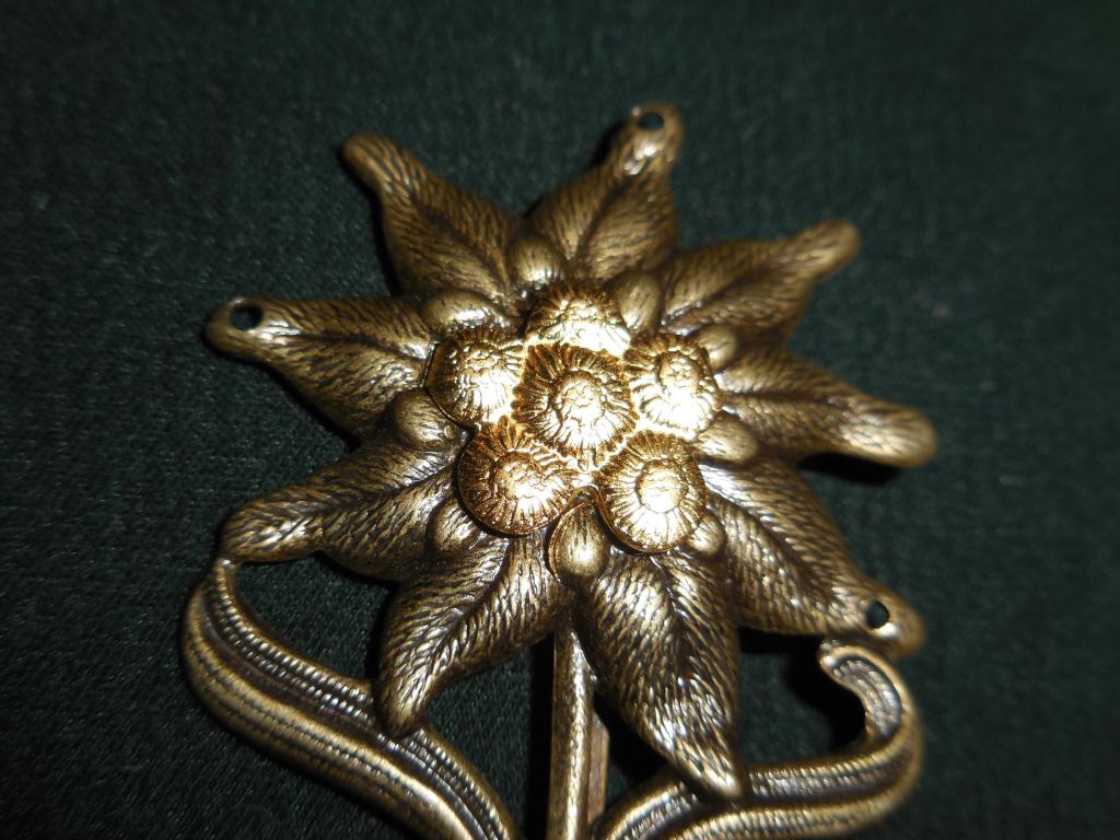 Знак эдельвейс германия