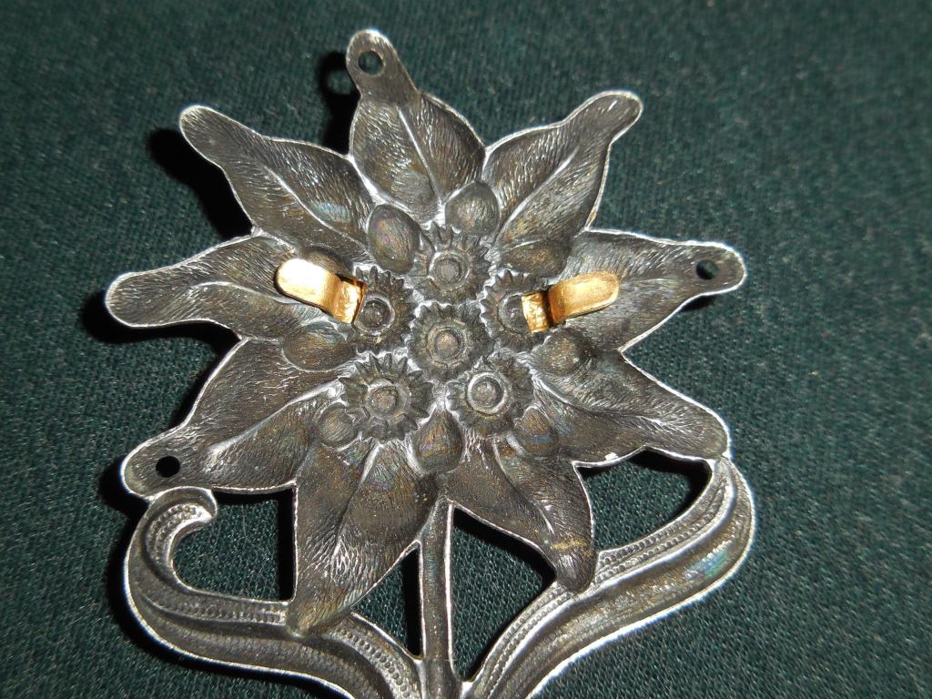 Знак эдельвейс германия