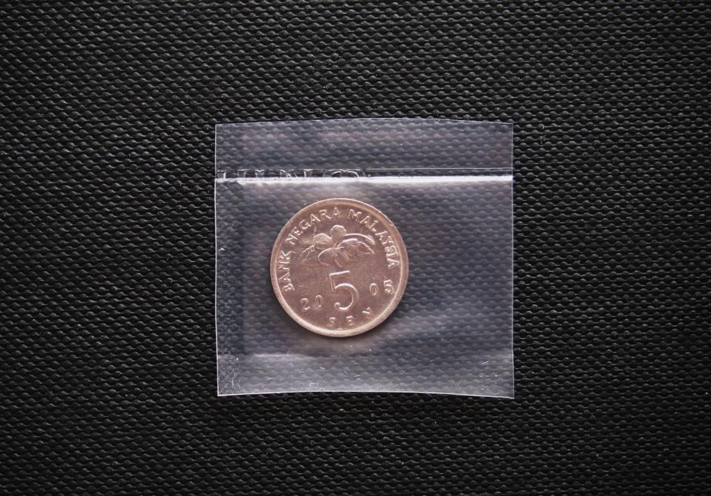 5 сен. Малайзия. 2005 год. #2507.
