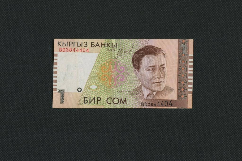 1 сом. 1999 г. Кыргызстан. Киргизия. серия BD. #2600.