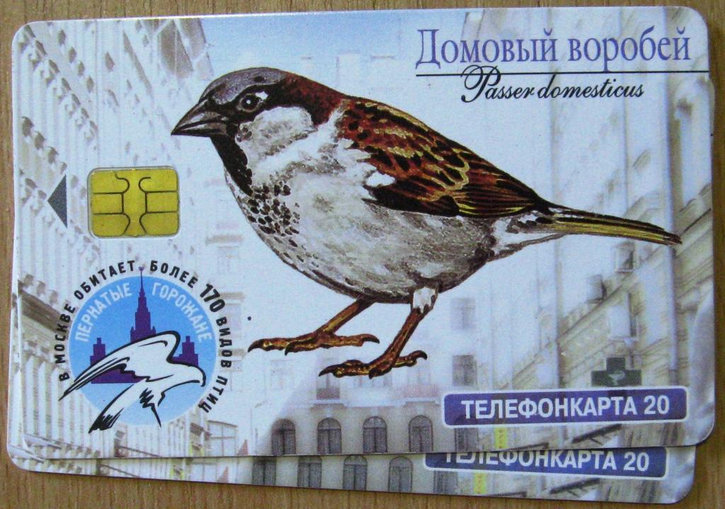 Т01.177 ТЕЛЕФОННАЯ КАРТА 20 МОСКВА ВОРОБЕЙ СКВОРЕЦ