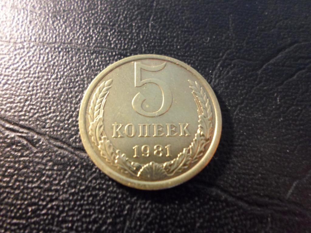 5 копеек 1981 года. В НАЛИЧИИ ВСЕ ПРОСТЫЕ ГОДА, ЕСТЬ РЕДКИЕ