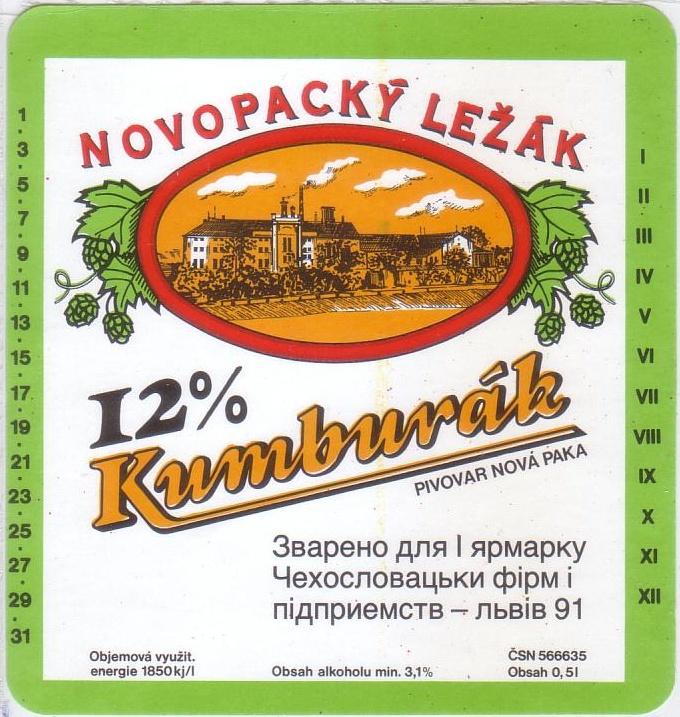 Рождественская ярмарка в праге. Чешское новое. Чешское новое. Замок нове место над метуйи. Чешское новое.