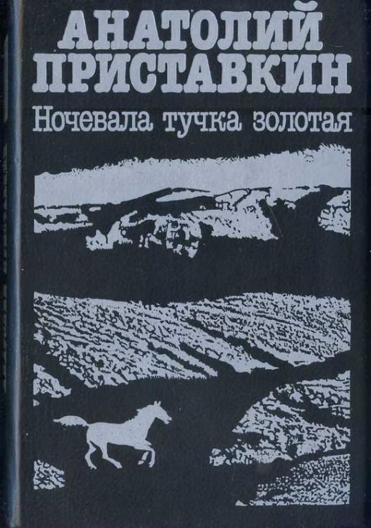 Произведение приставкина ночевала тучка золотая