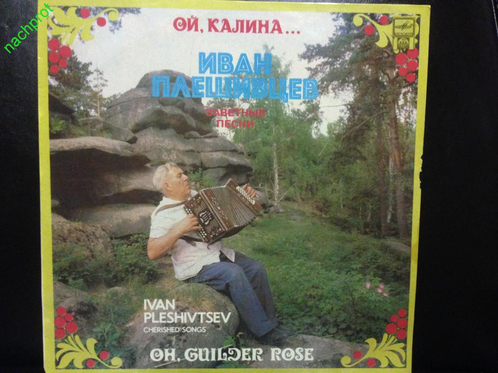 Авторы песен купить песню. Песня Калина Ивана Плешивцева. В Калина обложка альбома.