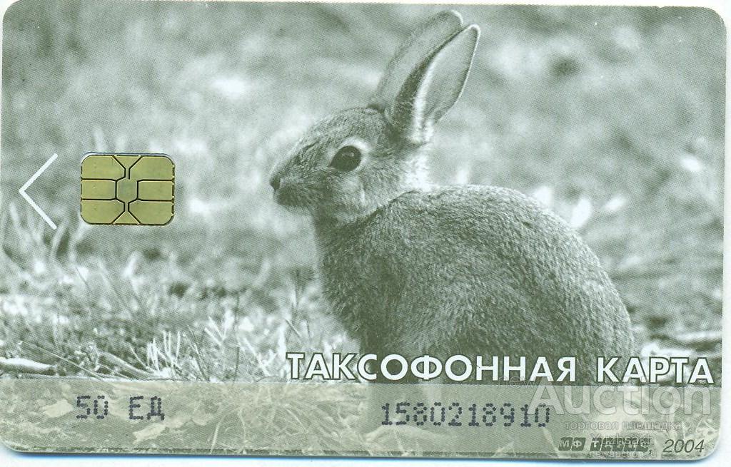 Зайчик карта прохождения