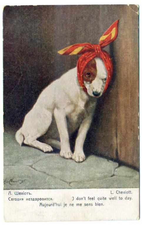 Юмор Шевиот Сегодня нездоровится издание Ришар