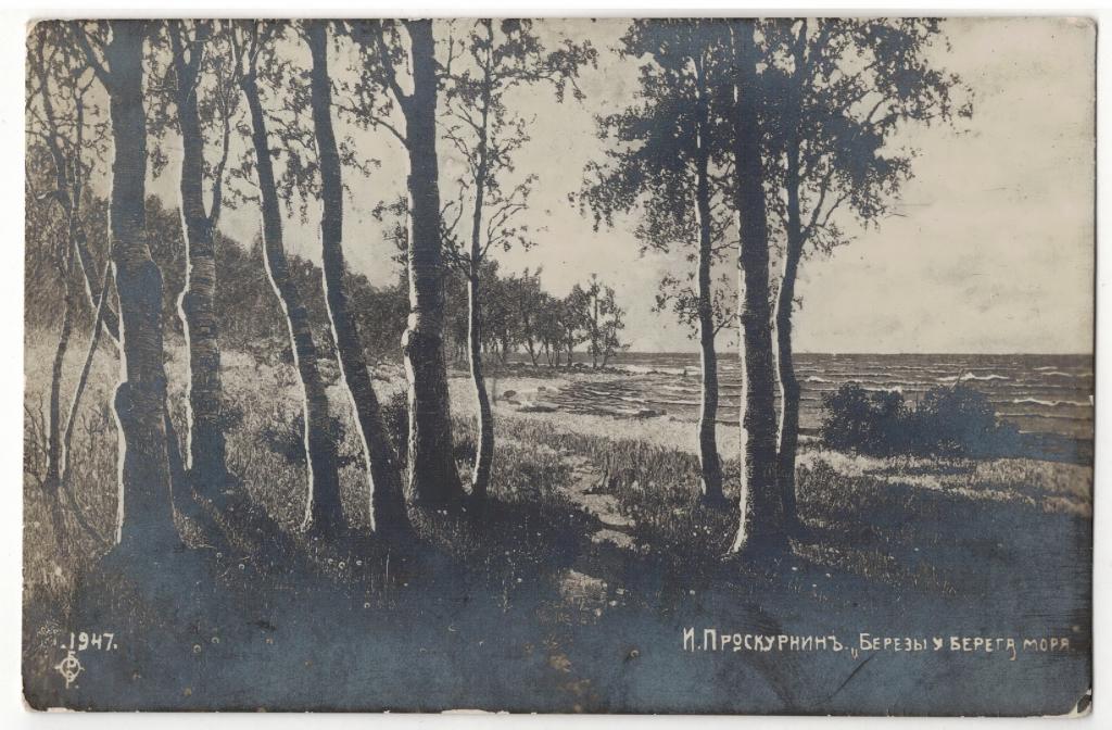 И. Проскурин "Березы у берега моря"