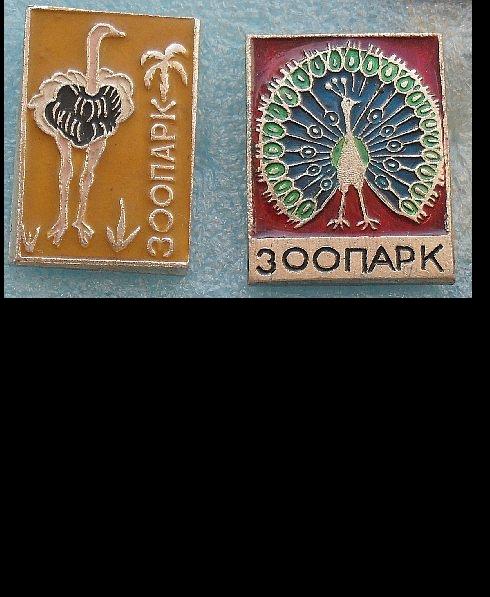Значки. Природа. Животные. Зоопарк3. Цена за значок
