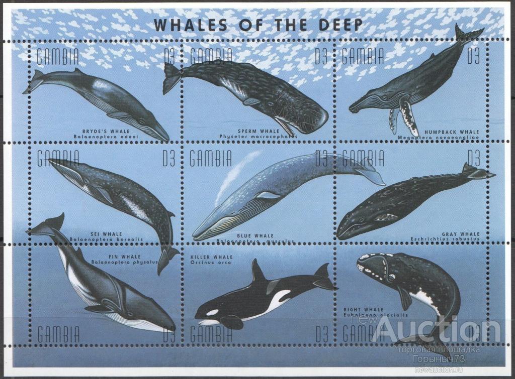 Гамбия 1995 м лист пс MNH