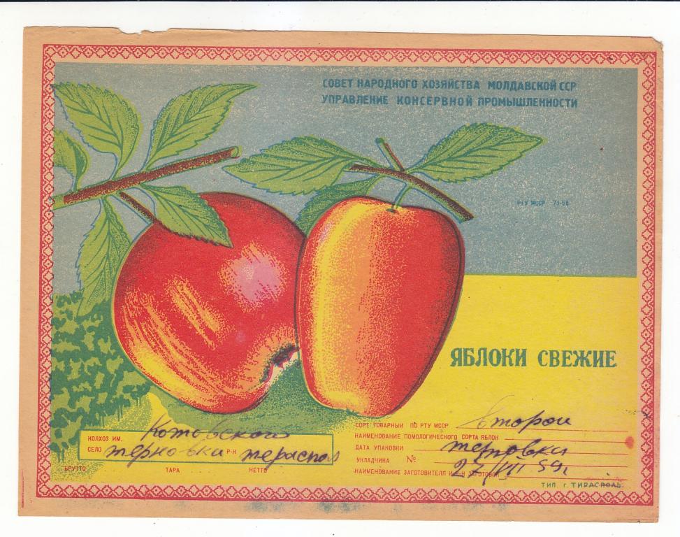 Этикетка на яблоки свежие образец