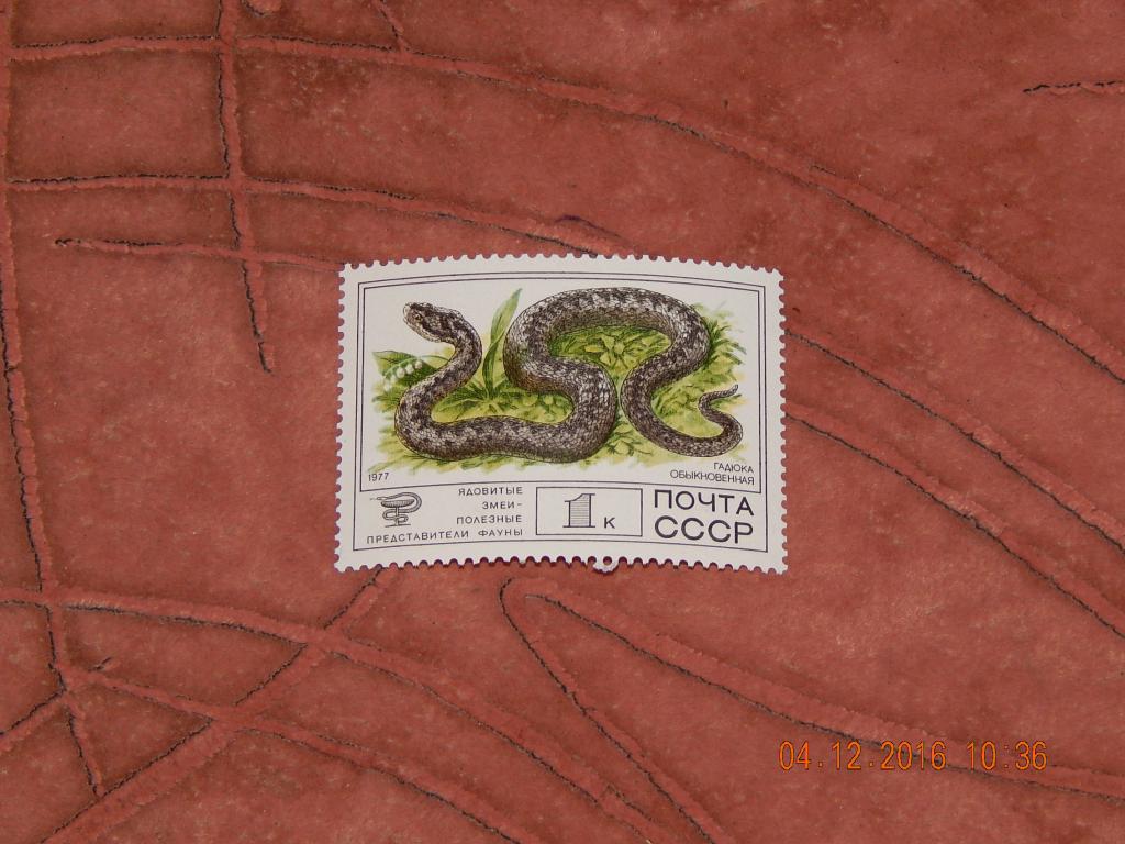 РАСПРОДАЖА  1977  CCCР  Фауна  Ядовитые змеи   СОСТОЯНИЕ ОТЛИЧНОЕ