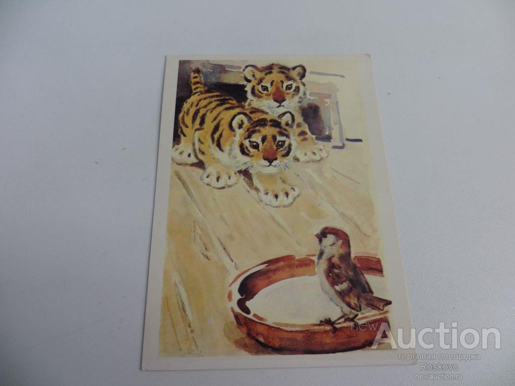 открытка ТИГРЯТА воробей животные худ. Гамбургер