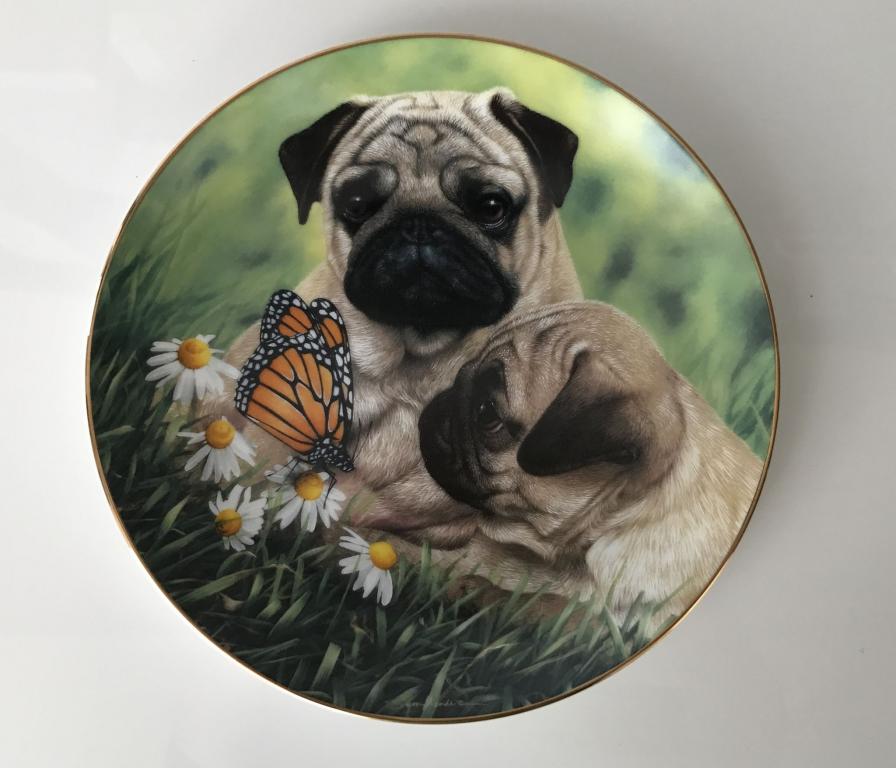 Тарелка коллекционная   МОПСЫ с бабочкой