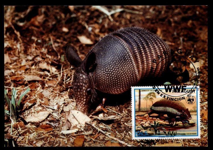 Парагвай открытка с маркой 1988 WWF