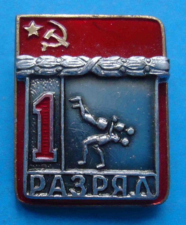 Первый Разряд Лыжи Значок Купить В Казани