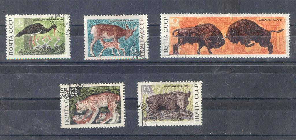 СССР.Птицы.Звери.Беловежская Пуща.1969г