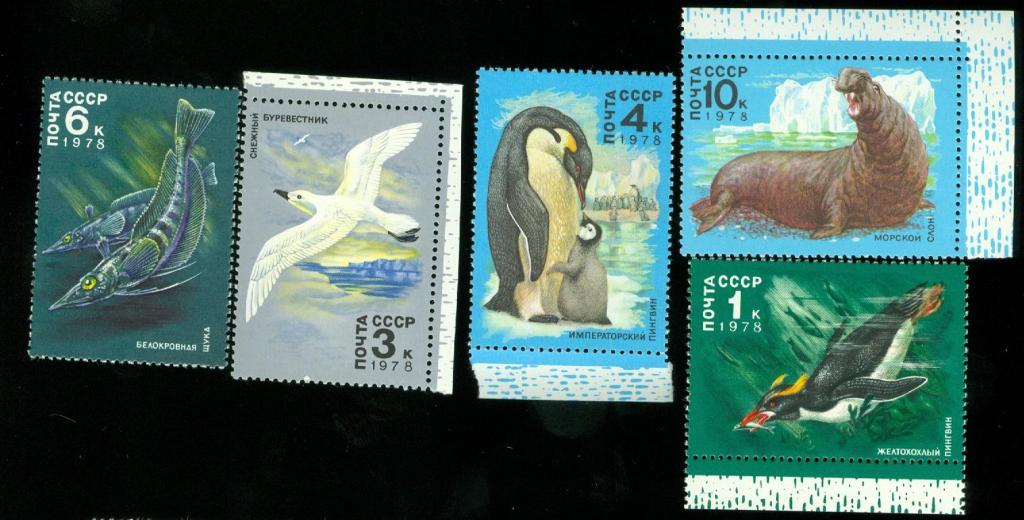 1978. Фауна Антарктиды.5 марок, пингвин. буревестник.щука.слон животные птицы