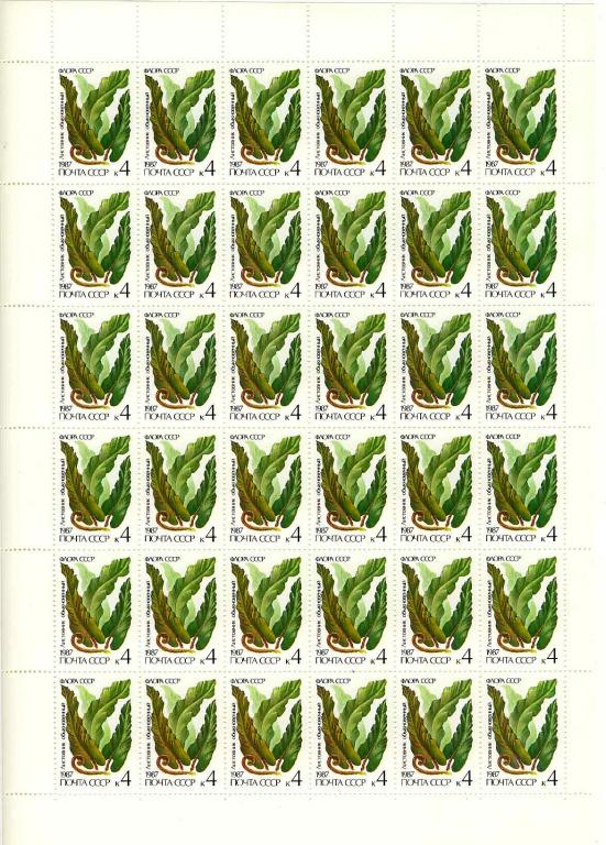 1987  ПАПОРОТНИКИ  5846-50   ЛИСТЫ