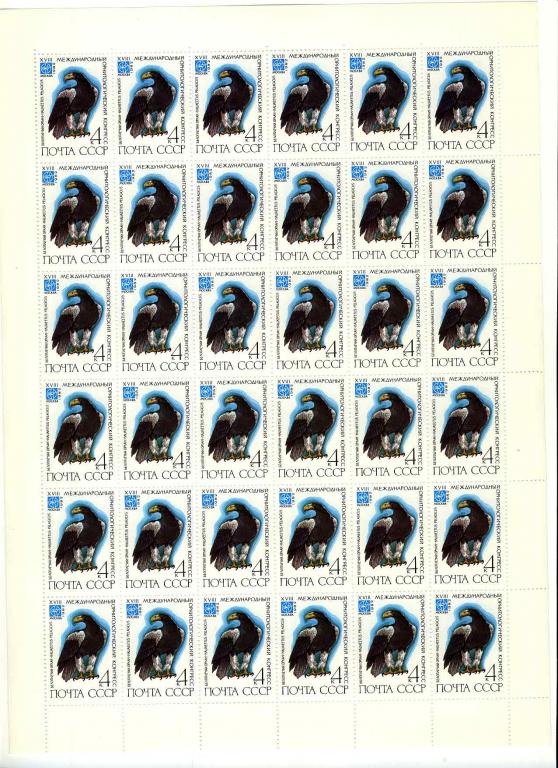 1982 ПТИЦЫ   5299-5304   ПОЛНАЯ СЕРИЯ   ЛИСТЫ